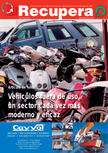 Vehículos fuera de uso, un sector cada vez más moderno y eficaz