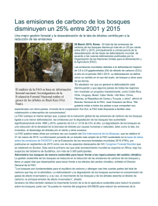 Las emisiones de carbono de los bosques disminuyen un 25