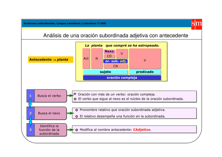 Oración Subordinada Adjetiva Con Antecedente