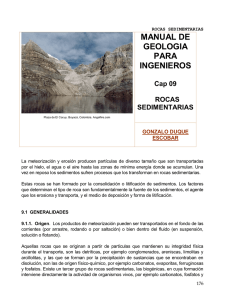 PDF (Capítulo 9 : Rocas sedimentarias)