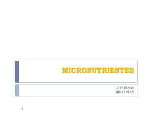 15. Micronutrientes.