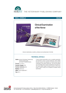 clinical examination of the horse
