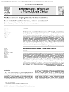 Amebas intestinales no patógenas: una visión clinicoanalítica
