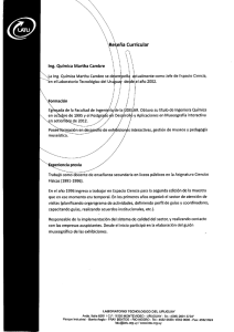 Re e&ntilde;a Curricular Ing. Qu&iacute;mica Martha Cambre