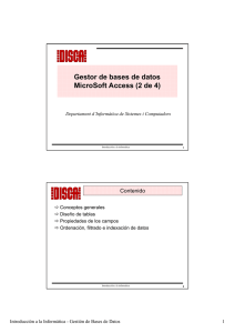 Gestor de bases de datos MicroSoft Access (2 de 4)