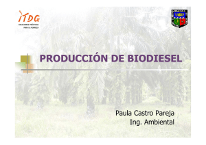 producción de biodiesel