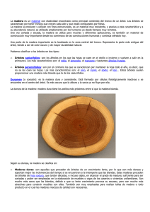 Informacion sobre maderas