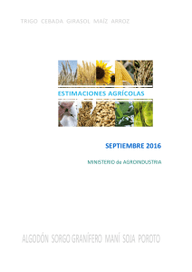 Estimación Mensual - Datos Abiertos Agroindustria