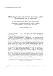 Multidrug resistance increment in a human colon carcinoma cell line