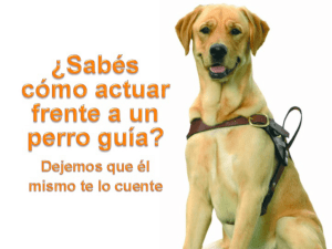 Page 1 ¿Sabés cómo actuar frente a un perro guía? Dejemos que él