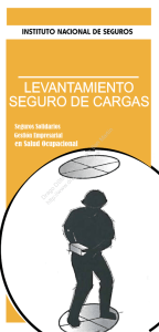 levantamiento seguro de cargas - Distribuidora San Martín de