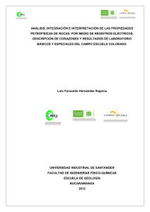 análisis, integración e interpretación de las propiedades petrofísicas