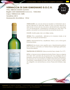 VERNACCIA DI SAN GIMIGNANO D.O.C.G.