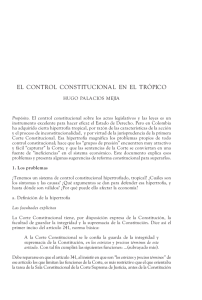 El control constitucional en el trópico