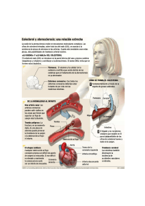 Colesterol y aterosclerosis: una relación estrecha