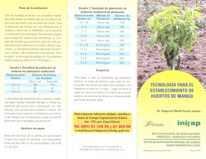 Trazo de la plantación Una vez nivelado el terreno se procede a