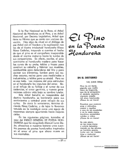El pino en la poesía hondureña - Revista Conservadora