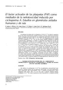 El factor activador de las plaquetas (PAF) como