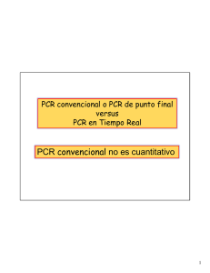 PCR convencional no es cuantitativo - U