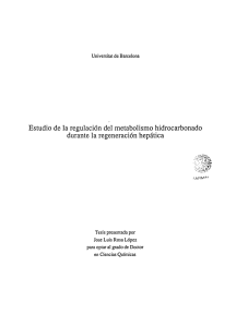Estudio de la regulación del metabolismo hidrocarbonado durante