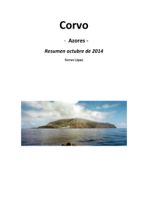 Azores - Reservoir Birds
