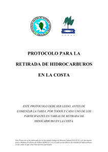 protocolo para la retirada de hidrocarburo en la costa