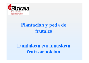 Plantación y poda de frutales Landaketa eta inausketa fruta