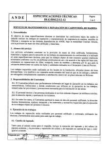 ESPECIFICACIONES TÉCNICAS Página ANDE DLG/DSG2/12