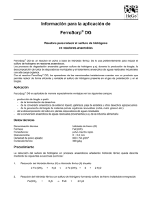 Información para la aplicación de FerroSorp DG