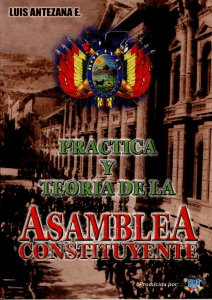 Práctica y teoría de la Asamblea Constituyente.