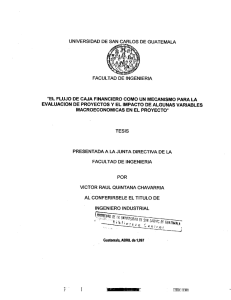 el flujo de caja financiero como un mecanismo