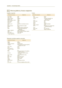 El Diversas palabras y formas compuestas