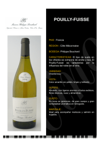 V Bco Poullly Fuisse Philippe Bouchard (08-09) 750 Ml.