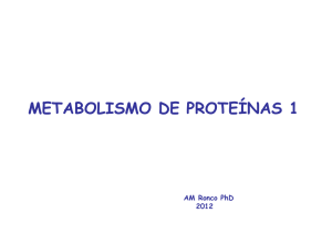 Clase 2012 - 11 Metabolismo de Proteinas 1 - U