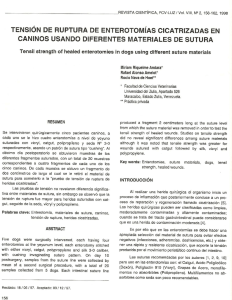 tensión de ruptura de enterotomías cicatrizadas en