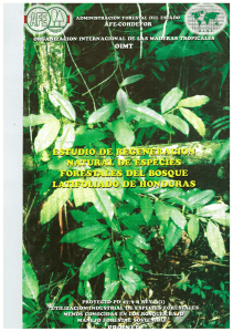 Estudio de Regeneracion Natural de Especies Forestales dle