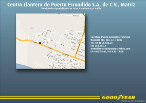 Centro Llantero de Puerto Escondido SA de CV, Matriz