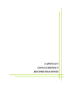 CAPITULO 5 CONCLUSIONES Y RECOMENDACIONES