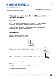 Instrucciones para muestra y cultivo de orina (muestra aleatoria)