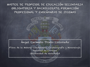 Ángel Carmelo Prieto Colorado MASTER DE