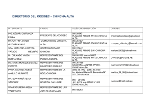 directorio del codisec – chincha alta