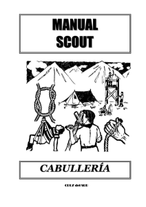 Manual Scout Cabullería