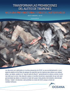 Transformar las prohibiciones del aleteo de tiburones