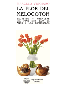 melocoton - Escuela Hispanoamericana de Feng Shui