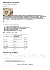 Vitamina B2: Riboflavina - Health Information Center