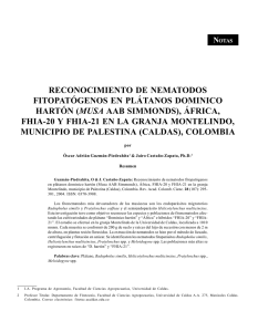 reconocimiento de nematodos fitopatógenos en plátanos dominico