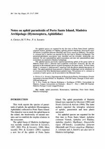 Notes on aphid parasitoids of Porto Santo Island, Madeira Archipelago