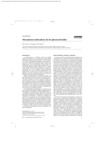 Mecanismos moleculares de los glucocorticoides