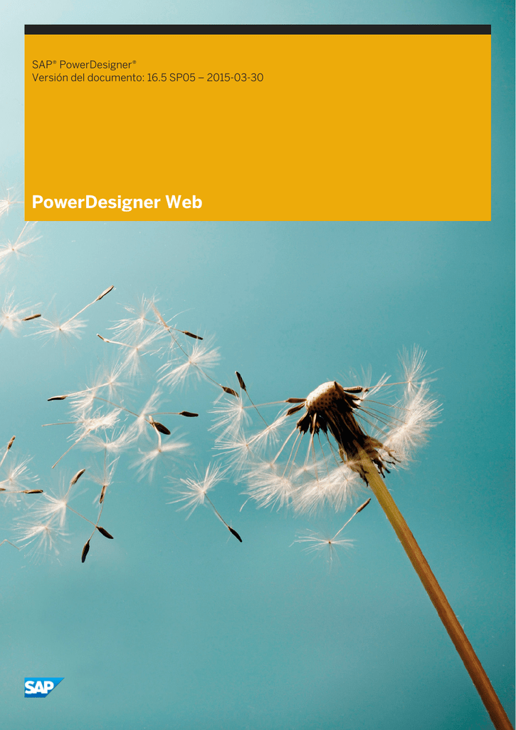 PowerDesigner Web