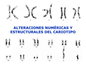 alteraciones numéricas y estructurales del cariotipo